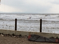bagarie3_400x200
