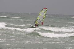 2009 - Neuhaus